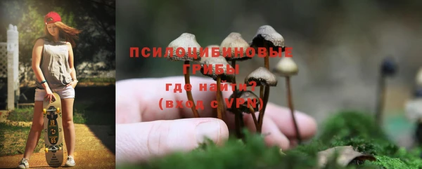 прущие грибы Алексеевка