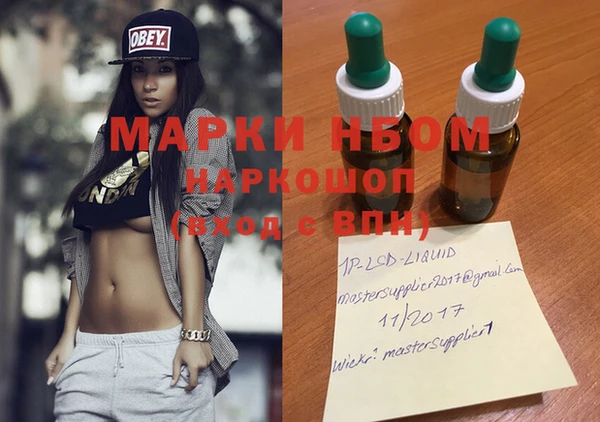 прущие грибы Алексеевка